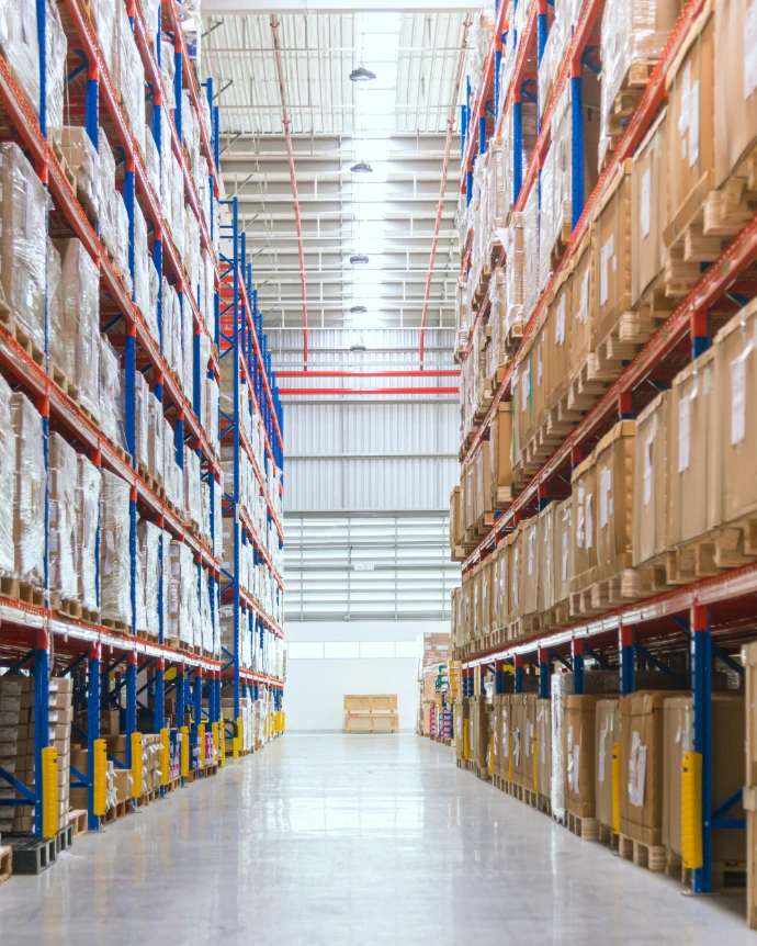 Commercial pest control services in Trinidad