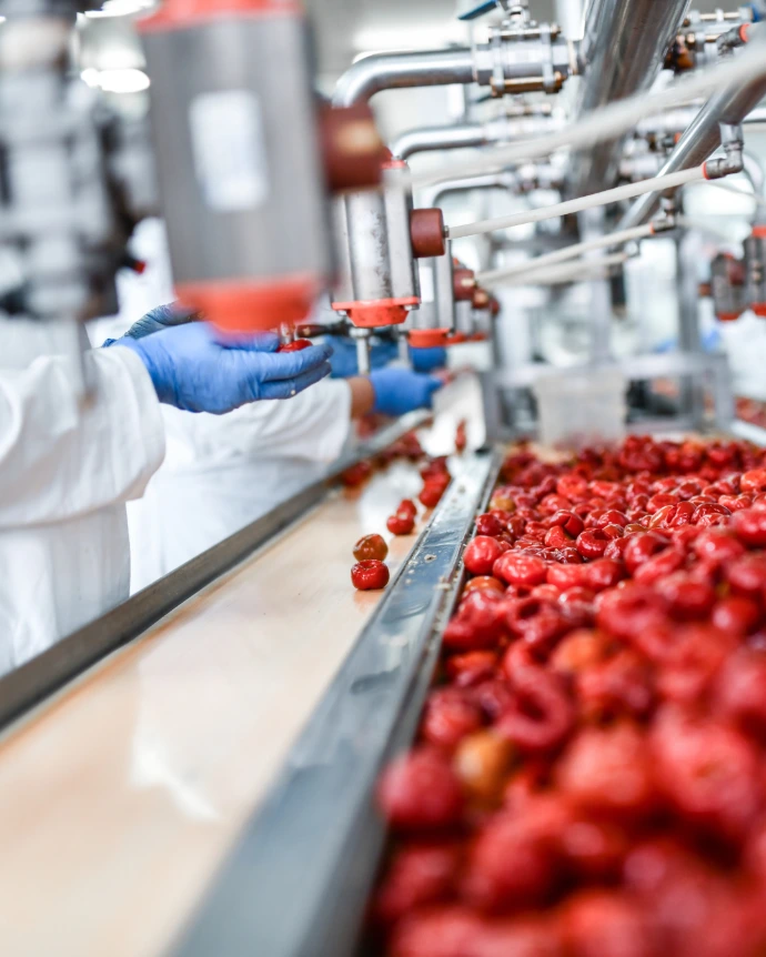 Food processing facility pest control in Trinidad