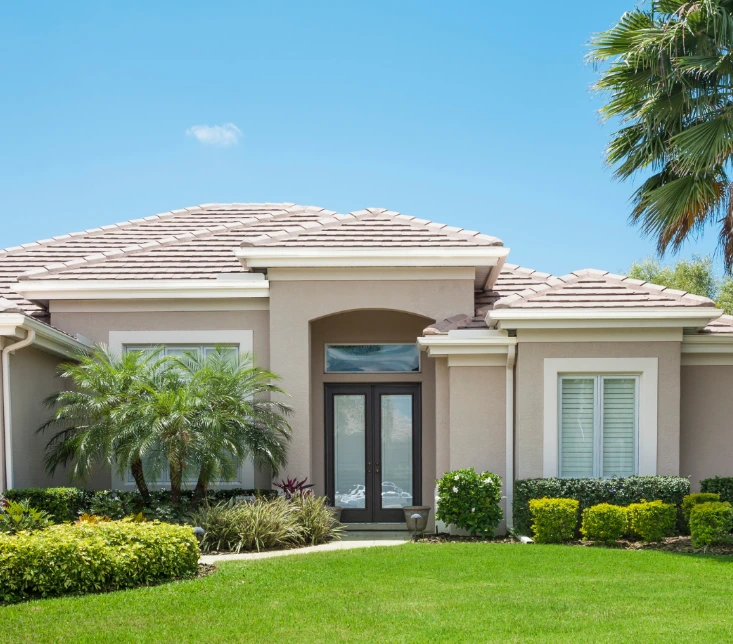 Residential pest control in Trinidad
